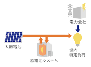 遣系蓮転（買電）